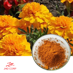 Marigold Flower Extract Lutein 20% HPLC
