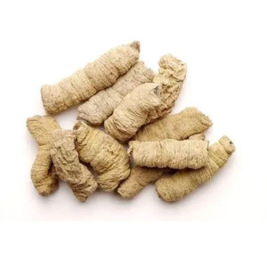 Morinda Officinalis Extract