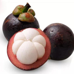 Mangosteen Extract