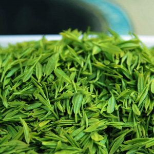 Green Tea Extract 