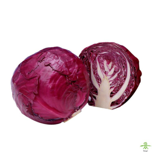 Red Cabbage Extract