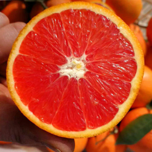 Orange Blood Extract