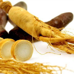 Ginseng Extract