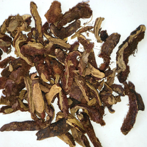 Rhizoma Drynariae Extract