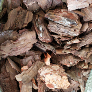 Pine Bark Extract 