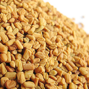 Fenugreek Seed Extract