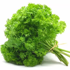 Parsley Extract