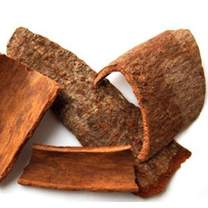 Cinnamon Bark Extract