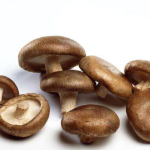 Shitake Mushroom Powder 
