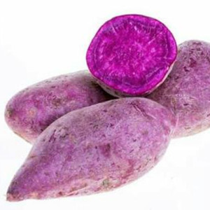 Purple Sweet Potato (Ipomoea Batatas) Powder Freeze Dried Powder
