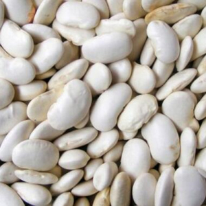 White Kidney Bean powder