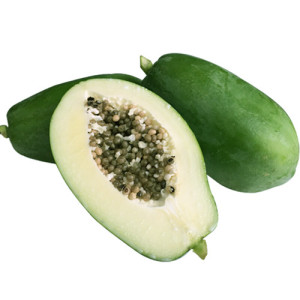 Green Papaya Fruit Powder