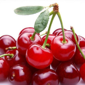 Sweet Cherry Extract