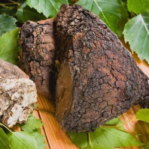 Organic Chaga Mushroom Powder	