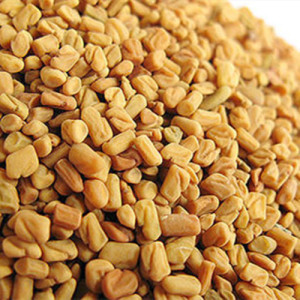 Fenugreek Extract