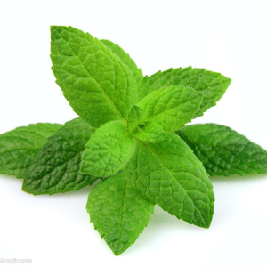 Peppermint Oil