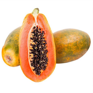 Papaya Fruit Juice Powder