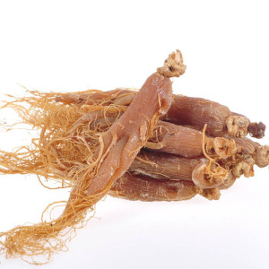 Red Ginseng Extract