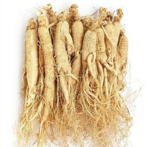 Ginseng Root Extract