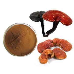 Reishi Mushroom Powder