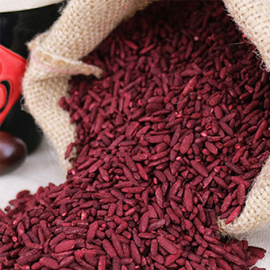 Red Yeast Rice powder