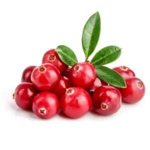 Cranberry Extract