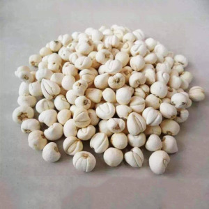 Zhejiang Fritillary Bulb Powder