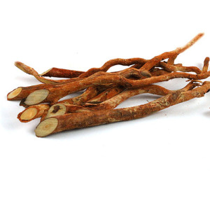 Tongkat Ali Root Extract