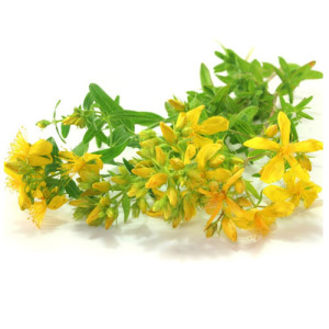 St John’s Wort Powder