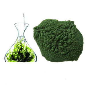 Spirulina Powder