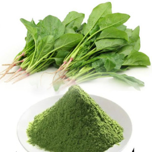 Spinach Juice Powder