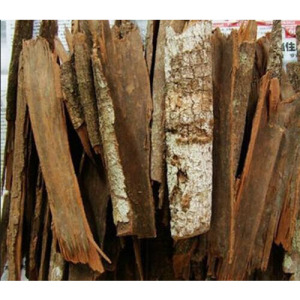 Catuaba Bark Extract