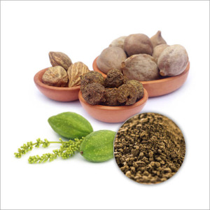 Triphala Extract