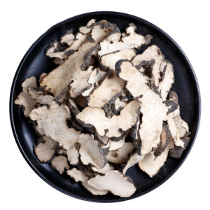 Polyporus Extract