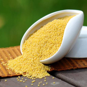 Millet Seed Extract