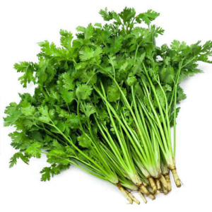 Cilantro Extract