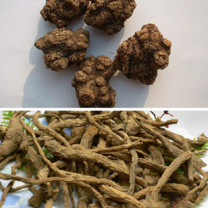 Ligusticum wallichii Rhizome/Root Powder