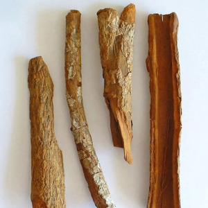 Cinchona Bark