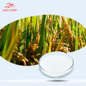 Rice Phytoceramides