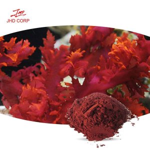 Dulse Powder (Palmaria palmata)(red seaweed)